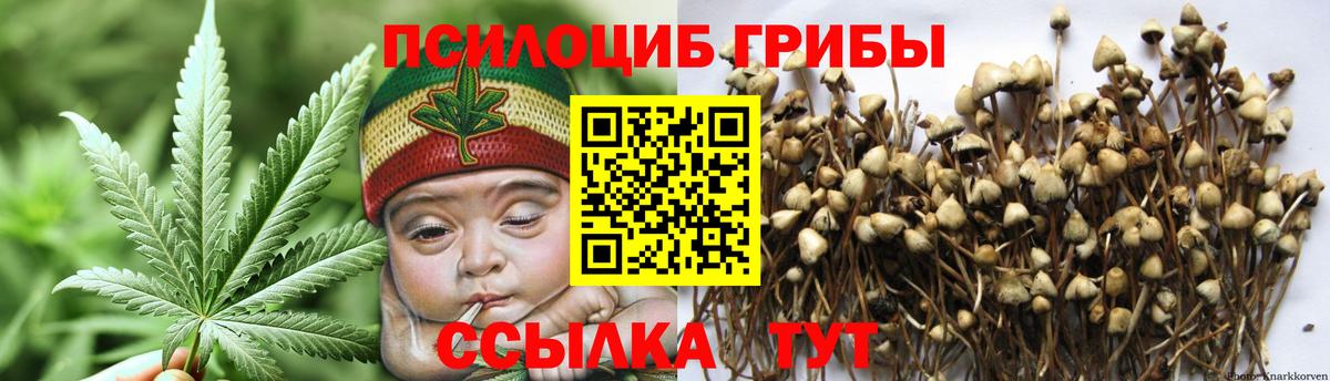 Галлюциногенные грибы Cubensis  закладка  Москва  Вход с VPN 