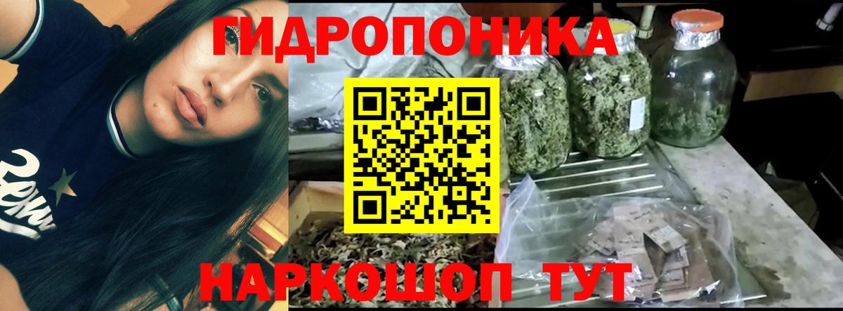 Каннабис AK-47  Вход с VPN  Москва  Бошки Шишки ГИДРОПОН  МАРИХУАНА THC 21% 